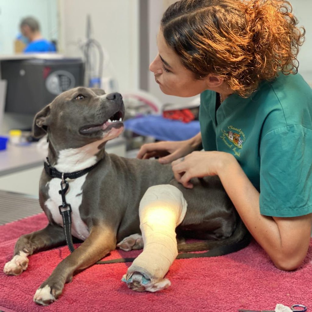 Sweet Pea Animal Hospital Nurse and Dog