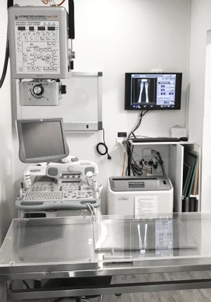 Sweet Pea Animal Hospital Radiology & Ultrasonography